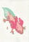 axolotl-2025